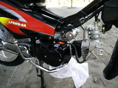 Die Beinschilder werden erst im Empfængerland montiert. LIFAN 70ccm