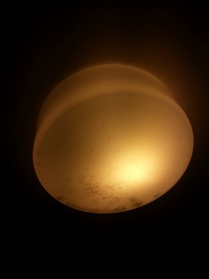 Ein bisschen Gesellschaft im Hotel