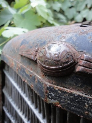 bis 06.08..2015 539.jpg