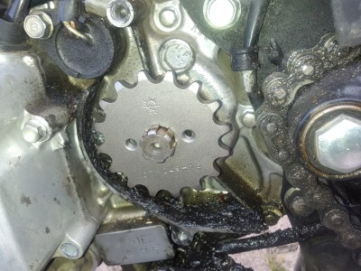 Richtig 17/14 mm, Typ 249.