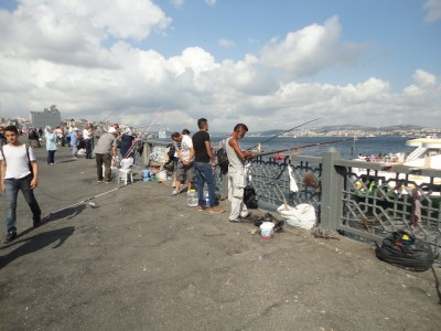 bis 06.08..2015 684.jpg