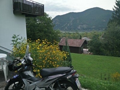 die schöne braungrüne Donau.