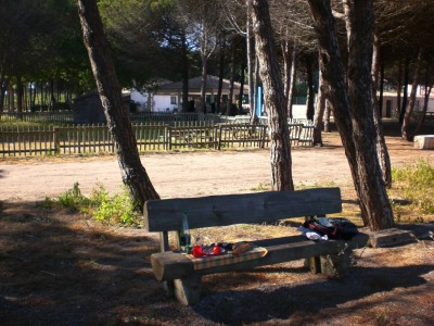 CIMG4996 Abendesseen im Park.JPG