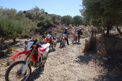 Verfahren?  - egal------