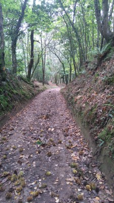 So schön war es am 19. Okt.
