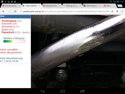 Der Bremshegel wäre bald durch gewesen.