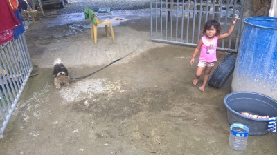 Unser Wachhund. Er ist zwar klein aber sein Mut ist grösser als der jeden anderen Hundes! :-) Und so gross wie sein Muit ist auch sein Herz! Ein toller Kerl. Kein Schosshündchen, sondern noch ein richtiger Hund halt. Und er liebt Motorradfahren. :-)