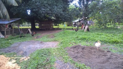 Das ist gleich hinter dem Backyard. Da fängt bereits der &quot;Dschungel&quot; an. :-)