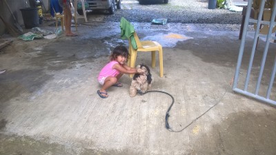 Charly heisst der Wächter, Er wartet noch auf seinen Termin beim Hundcoiffeur.