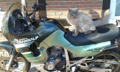 Transalp von Stine.jpg