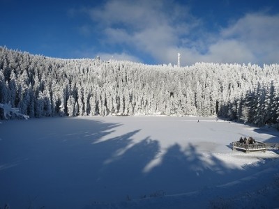 IMG_1802 - Kopie (2).JPG