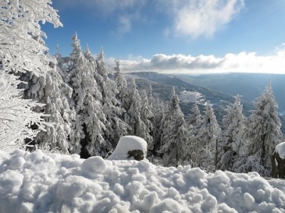 IMG_1792 - Kopie (2).JPG