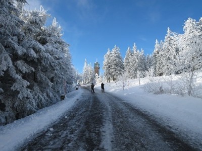 IMG_1793 - Kopie (2).JPG