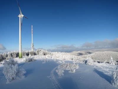 IMG_1796 - Kopie (2).JPG