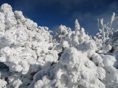 IMG_1800 - Kopie (2).JPG