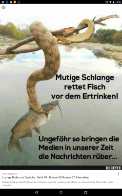 Es gibt freie, unabhängige, kritische Medien.