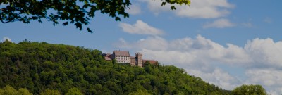 *Kopiert von der Homepage http://www.schloss-weitenburg.de/