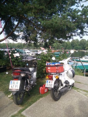 Das Gänsehäufel ist ein beliebtes Donau Strandbad "mitten" in Wien.