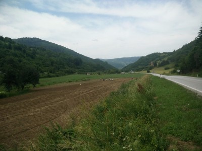 Fleissige Menschen, alles ist grün, kaum Weidevieh.