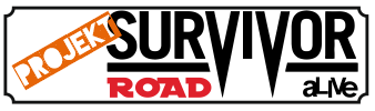 projekt_roadsurvivor.PNG