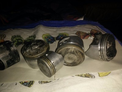 39 - 54 mm, verschiedene Dome, hartes Leben, DIEHARD (schwerer Tod.)