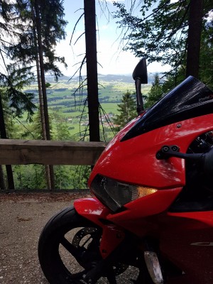 Was ein Bild! Auffahrt zur Burg Falkenstein.