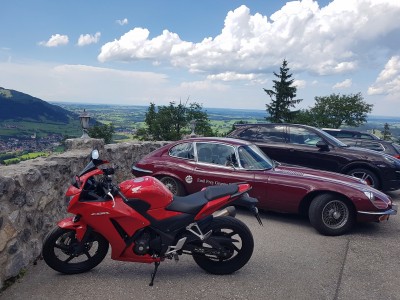 Oben an Burg Falkenstein.
