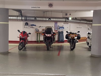 Nicht allein im Hotel.