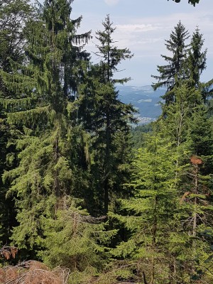 Immer wieder Kopfschütteln beim Blick zur Seite.