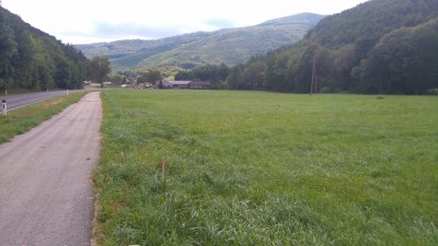 Wald, Wald, Wald, der Wienerwald.