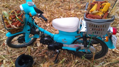 Zum Unterzünden suche ich mir jeden Herbst ca. 500 Maisspindeln von den Feldern zusammen.