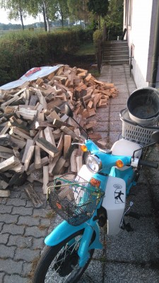 19 srm 33-er Buche ist einzuräumen. Fit-mach-mit.