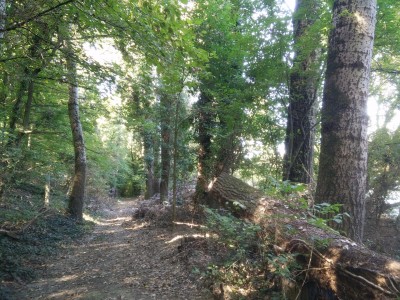 Die Donauauen bei Wien, 20 km von meinem Wohnort weg.
