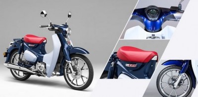 Nr.1 im Sortiment.JPG