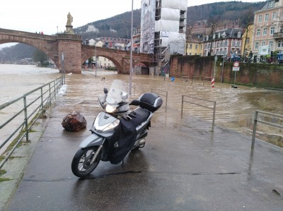 Pfennigbrücke Heidelberg 1