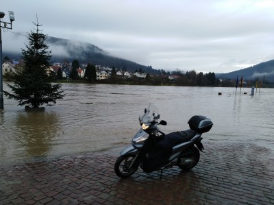Weihnachtsbaum in Neckargemünd