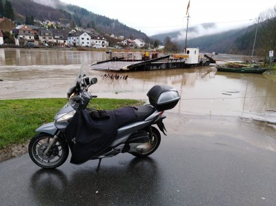 Fähre bei Neckarhäuserhof