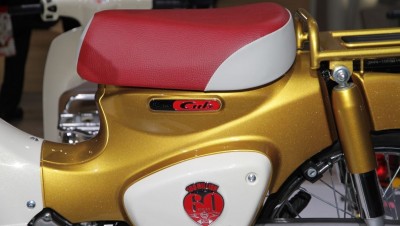 Meilenstein Cub 110.jpg