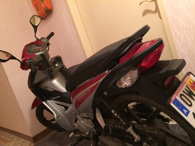 Franz-Ferdinand im Stall 2