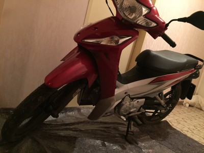 Franz-Ferdinand im Stall 1