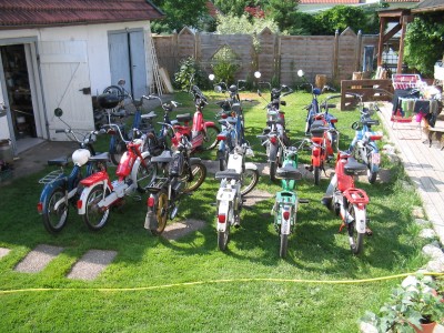 Teilweise sah der Gärten meiner Mutter so aus...:-)