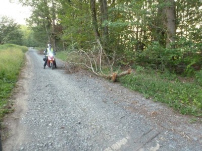 1024_2018_06_05_-_20_46_00_Tue_0130_Panasonic_DMC-TZ18 _duenkirchen-ardennen.jpg