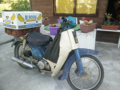 DIE schießt den Vogel ab. Der Besitzer hat in DE Fußball gespielt spricht deutsch und englisch!