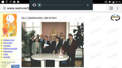 PV, Wind- und Elektroautopioniere