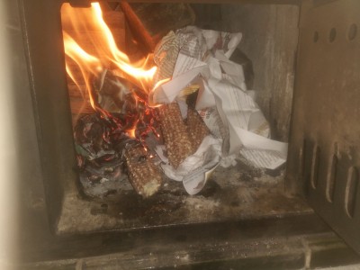 Eines schönen Tages werde ich ihn nicht mehr anheizen dürfen. Dann gibt es Wärme durch "befreundetes Erdgas" aus USA.