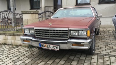 Ich schenkte meinem (ewig klammen) Lieblingsneffen Geld - und was kaufte er?