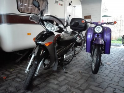 2018-11-2-02 Schwalbe Abschied 1.jpg