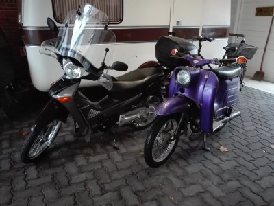 2018-11-2-02 Schwalbe Abschied 2.jpg