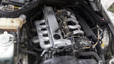 20190107_134359.jpg (1.41 MiB) 7361 mal betrachtet sauber & trocken