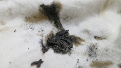 der Metallstaub ist auch magnetisch